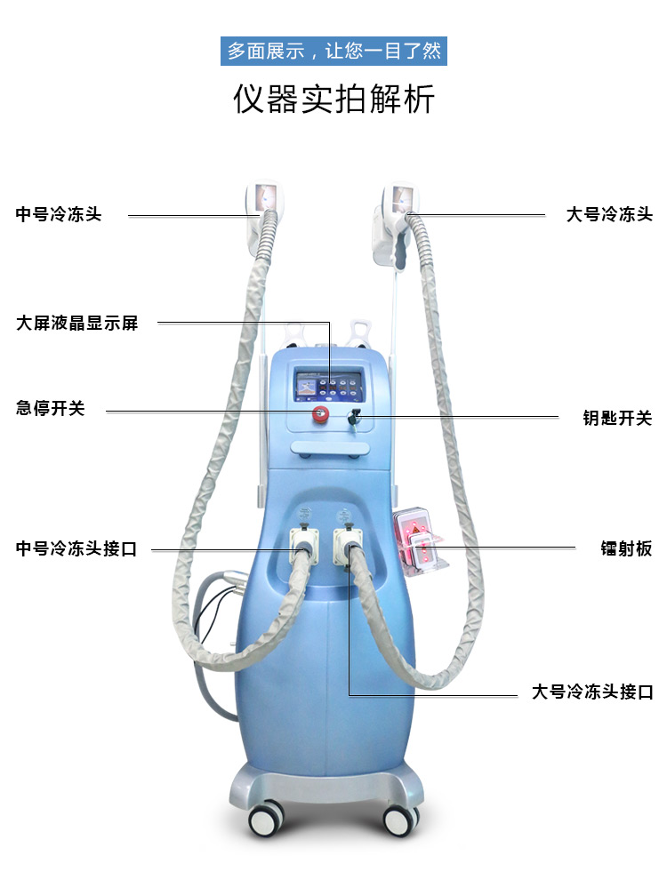 雙頭冷凍塑形儀